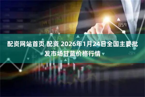 配资网站首页 配资 2026年1月24日全国主要批发市场甘蓝价格行情