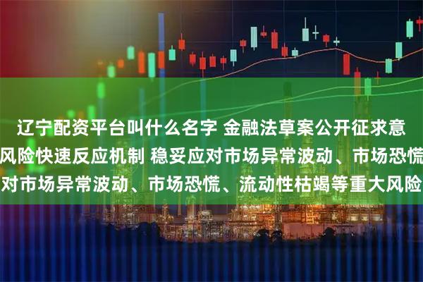 辽宁配资平台叫什么名字 金融法草案公开征求意见：建立健全金融市场风险快速反应机制 稳妥应对市场异常波动、市场恐慌、流动性枯竭等重大风险